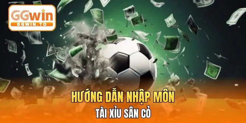 Hướng dẫn nhập môn Tài Xỉu sân cỏ