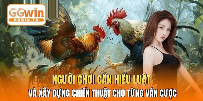 Người chơi cần hiểu luật và xây dựng chiến thuật cho từng ván cược