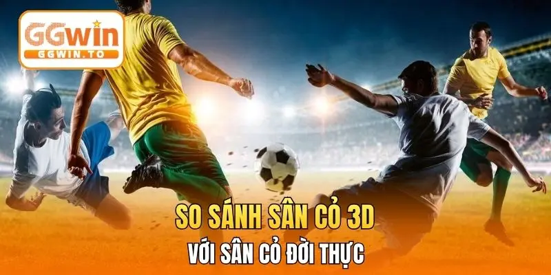 So sánh sân cỏ 3D với sân cỏ đời thực